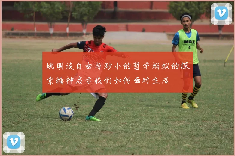 姚明谈自由与渺小的哲学蚂蚁的探索精神启示我们如何面对生活