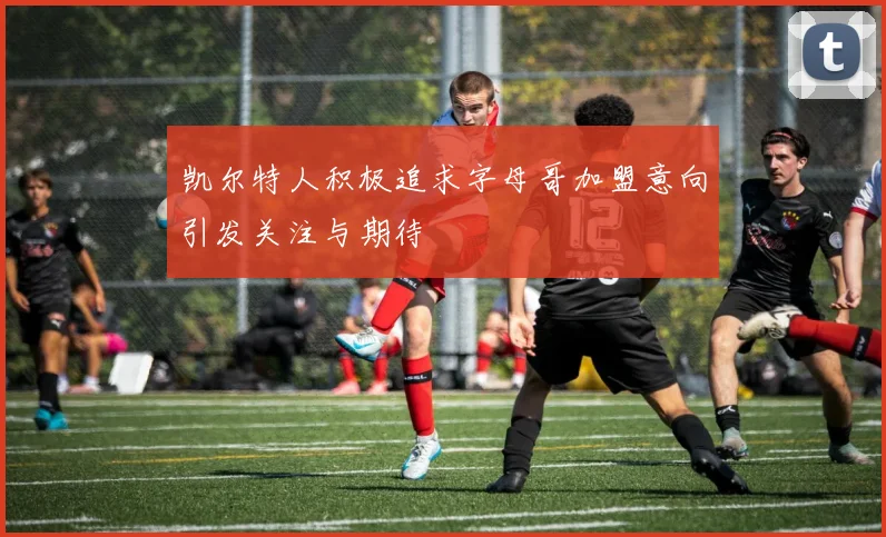 凯尔特人积极追求字母哥加盟意向引发关注与期待