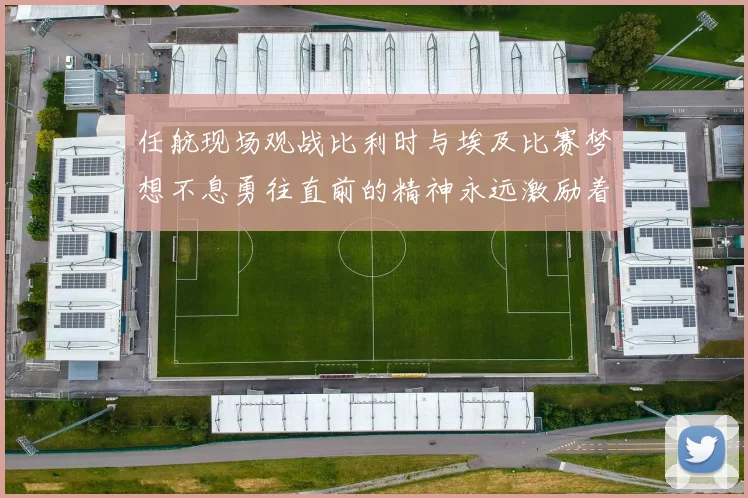 任航现场观战比利时与埃及比赛梦想不息勇往直前的精神永远激励着我们